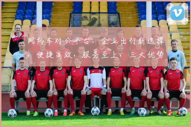 网约车对公平台，企业出行新选择，便捷高效，服务至上，三大优势，一网打尽。