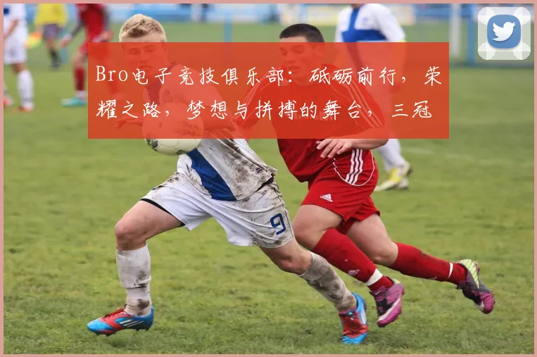 Bro电子竞技俱乐部：砥砺前行，荣耀之路，梦想与拼搏的舞台，三冠王荣耀再现