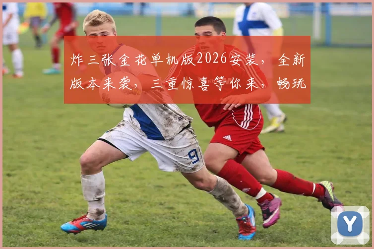 炸三张金花单机版2026安装，全新版本来袭，三重惊喜等你来，畅玩无忧