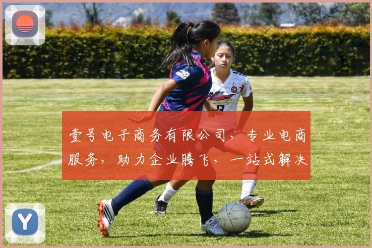 壹号电子商务有限公司，专业电商服务，助力企业腾飞，一站式解决方案，成就卓越品牌，共赢未来